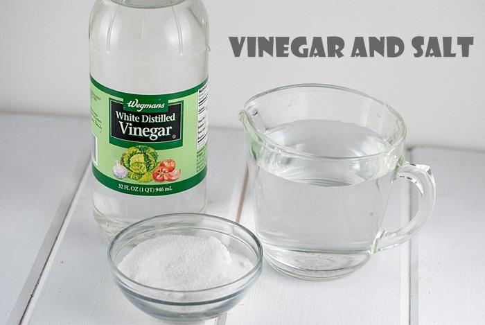 Vinegar and Salt: Best homemade poison ivy killer. 
