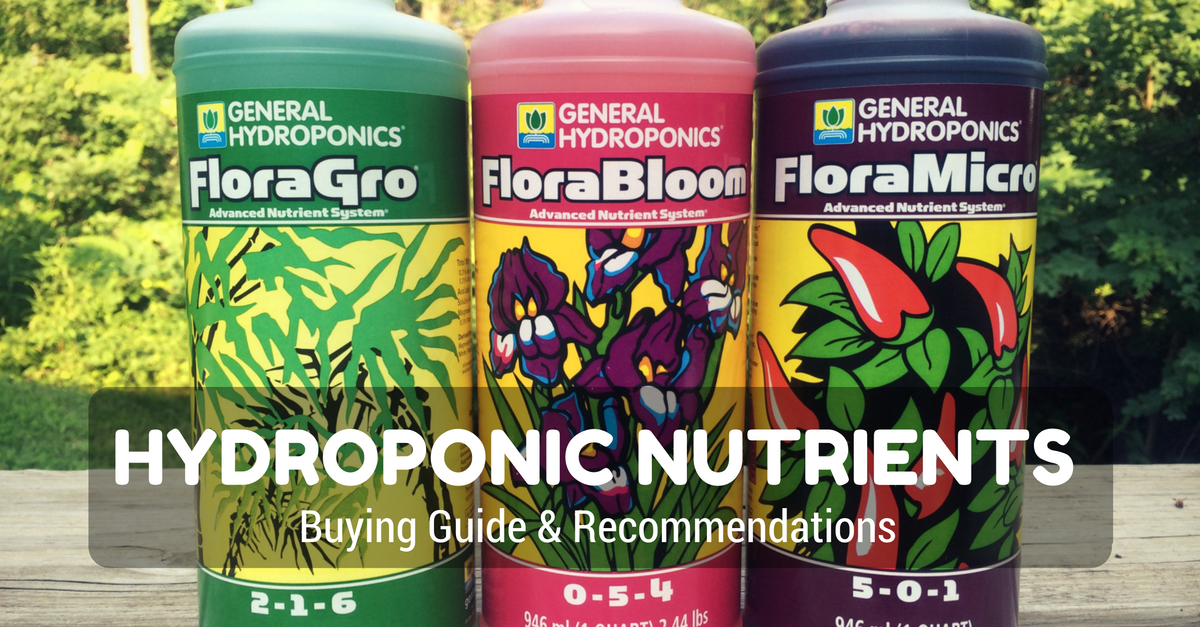 Best Hydroponic Nutrients: Buying Guide & Recommendations