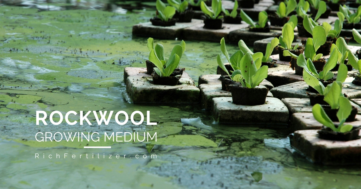 How to Use Rockwool as Medium and The Benefits It Offers