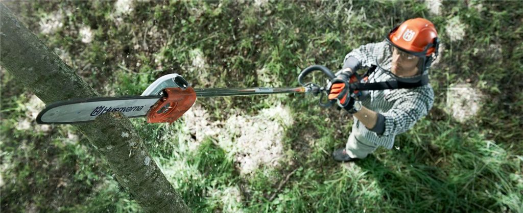 5 Reviews of Best Pole Saw for Tree Pruning